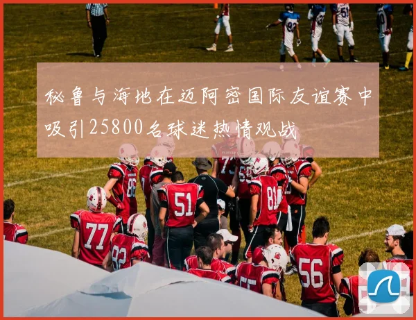 秘鲁与海地在迈阿密国际友谊赛中吸引25800名球迷热情观战