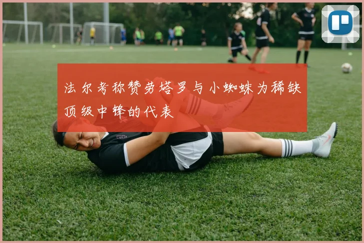 法尔考称赞劳塔罗与小蜘蛛为稀缺顶级中锋的代表